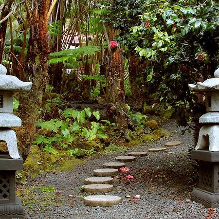 Lotus Garden Cottages Volcano Buitenkant foto