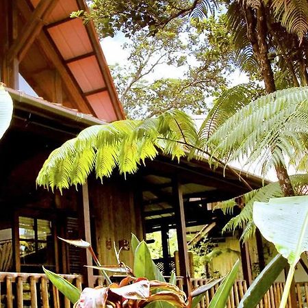Lotus Garden Cottages Volcano Buitenkant foto