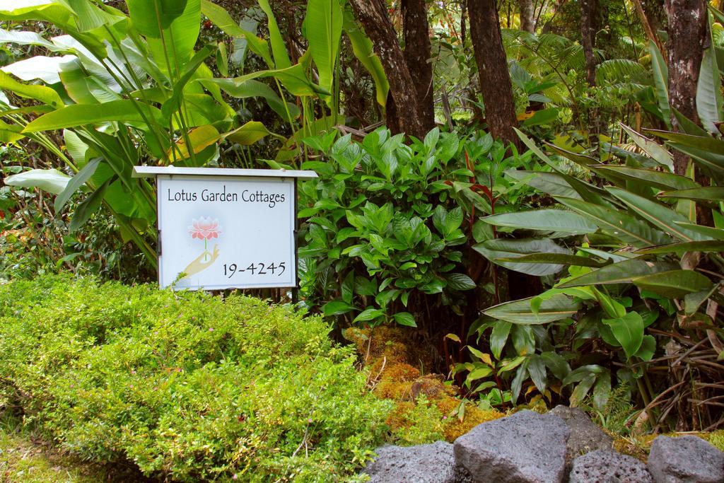 Lotus Garden Cottages Volcano Buitenkant foto