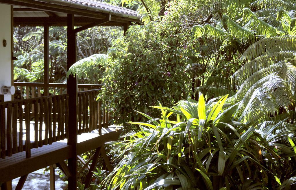 Lotus Garden Cottages Volcano Buitenkant foto