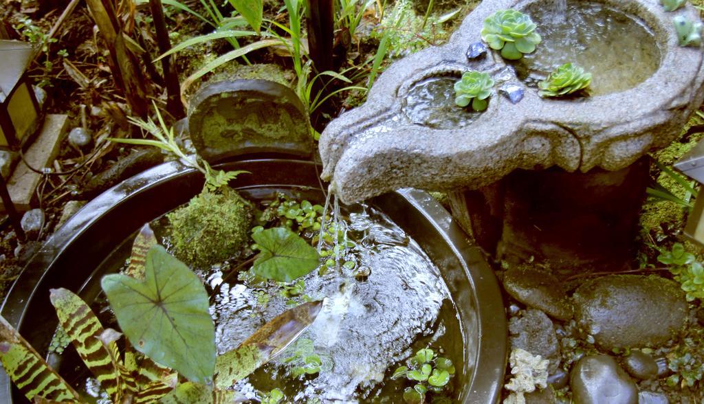 Lotus Garden Cottages Volcano Buitenkant foto