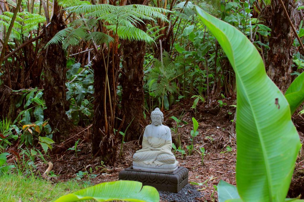 Lotus Garden Cottages Volcano Buitenkant foto