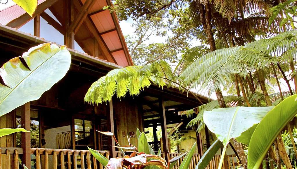 Lotus Garden Cottages Volcano Buitenkant foto
