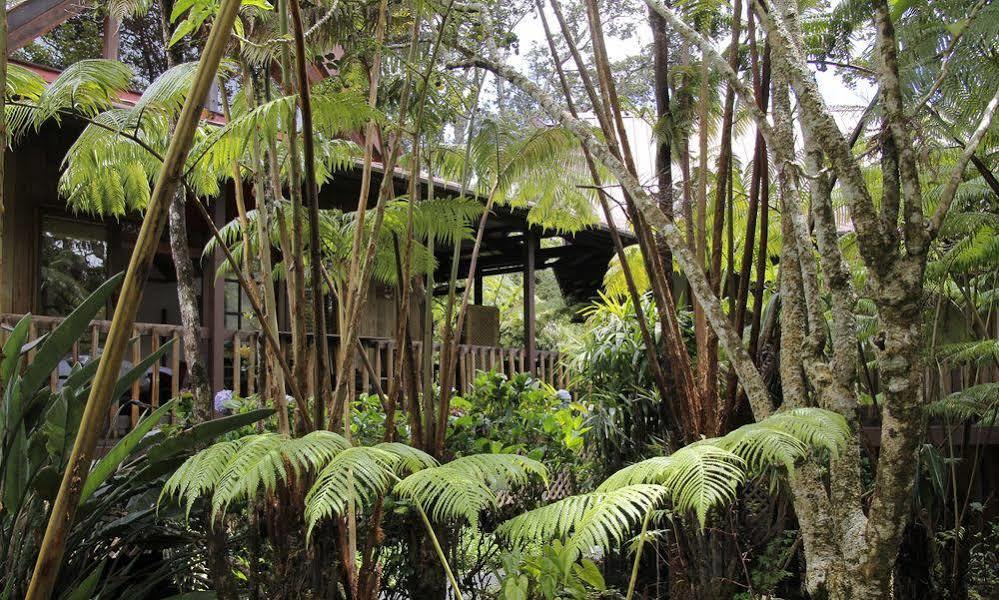 Lotus Garden Cottages Volcano Buitenkant foto
